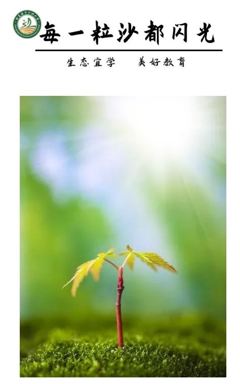 440c819f4ccf47d091dfa8af269c1967.png